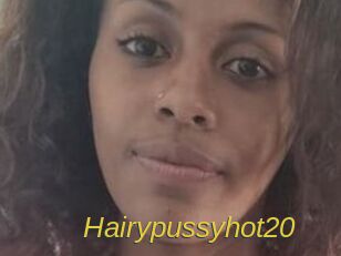Hairypussyhot20