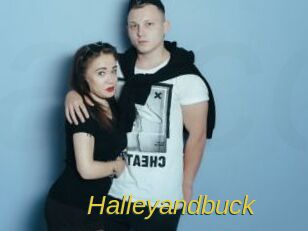 Halleyandbuck
