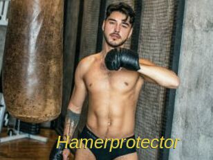 Hamerprotector