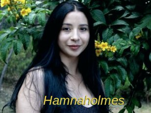 Hamnaholmes