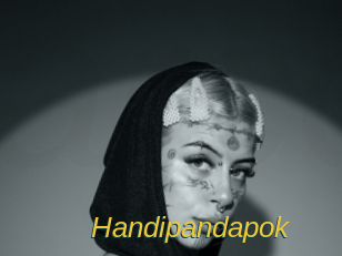 Handipandapok