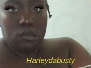 harleydabusty Archive DVD ORG