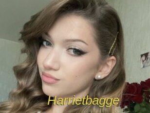 Harrietbagge