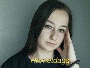 Harrietdagg