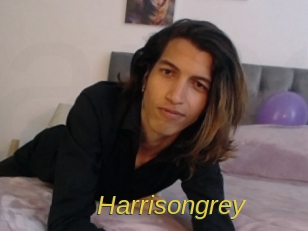 Harrisongrey