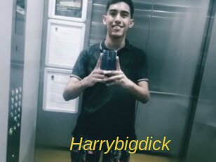 Harrybigdick