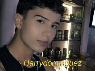 Harrydominguez