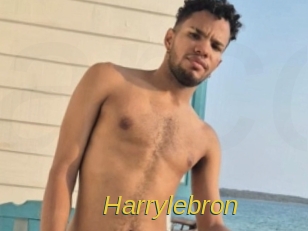 Harrylebron