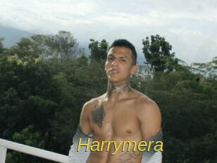 Harrymera