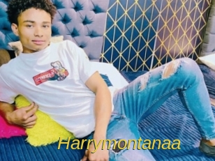 Harrymontanaa