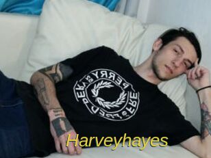 Harveyhayes