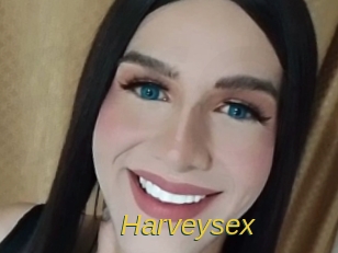 harveysex Archive DVD ORG