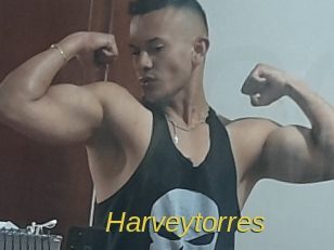 Harveytorres