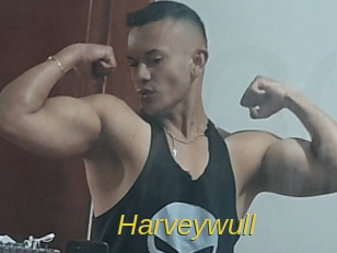 Harveywull