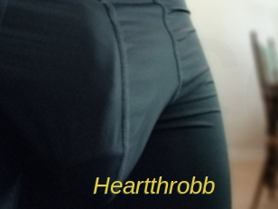 heartthrobb Archive DVD ORG
