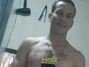 Hect