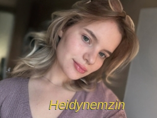 heidynemzin Archive DVD ORG
