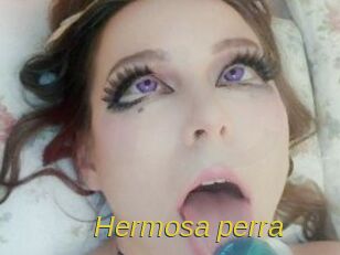Hermosa_perra