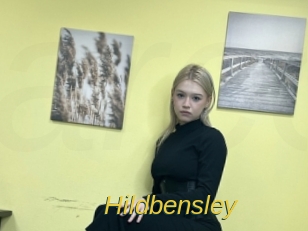 hildbensley Archive DVD ORG
