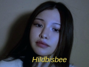 Hildbisbee