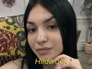 hildcrook Archive DVD ORG