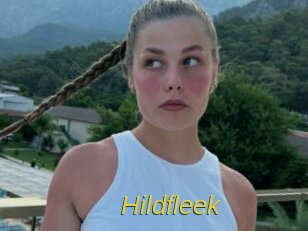 Hildfleek
