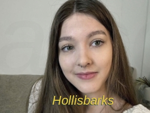 Hollisbarks
