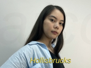 Hollisbrucks