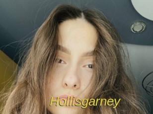 Hollisgarney