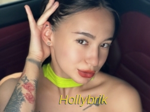 Hollybrik