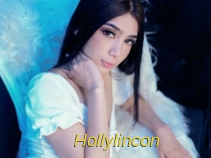 hollylincon Archive DVD ORG