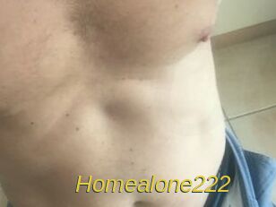 Homealone222