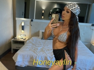 honeyaylin Archive DVD ORG
