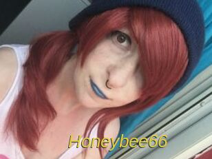 Honeybee66