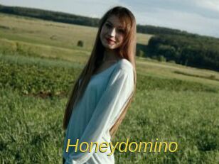 Honeydomino