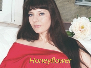 Honeyflower