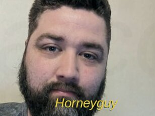 Horneyguy