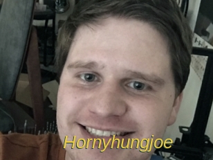 hornyhungjoe Archive DVD ORG