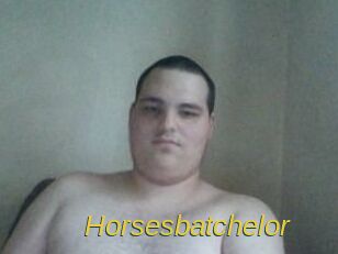 Horsesbatchelor