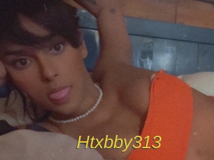 Htxbby313