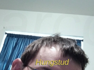 Hungstud