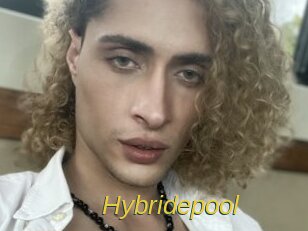 Hybridepool