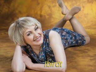 Ibirdt