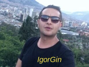 IgorGin