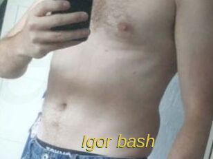 Igor_bash