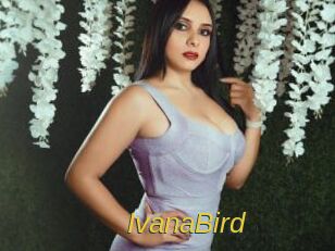 IvanaBird
