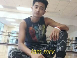 Iam_mrv