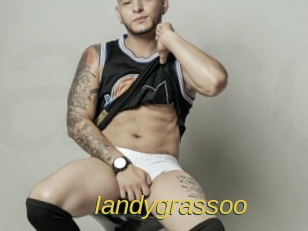iandygrassoo Archive DVD ORG