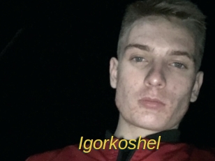 Igorkoshel