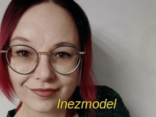 Inezmodel
